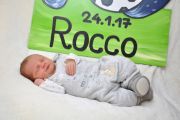Rocco.jpg